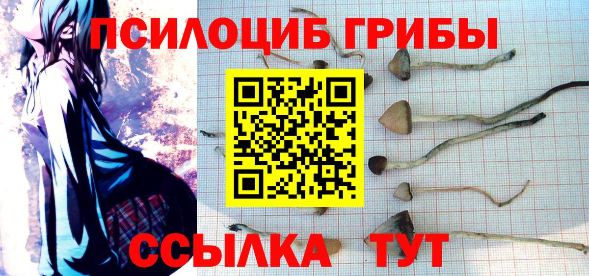 Псилоцибиновые грибы Magic Shrooms Новый Уренгой